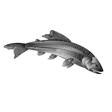 American brook trout as wrought metal vintage vector clipart