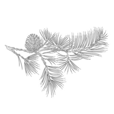 Şube çam çam kozalağı vintage oyma vektör olarak ile