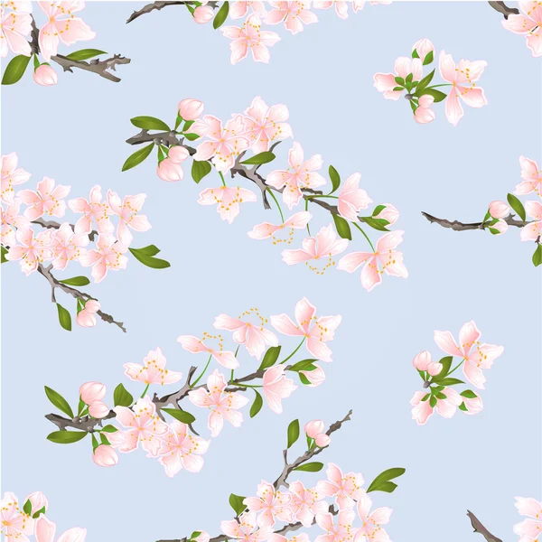 Sorunsuz doku kiraz çiçekleri vektör