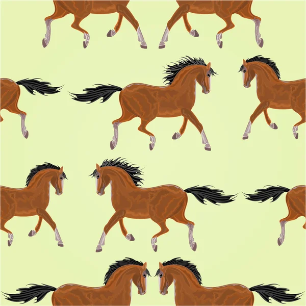 Seamless  texture Brown  horse stallion vector — Stock Vector