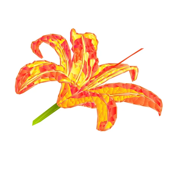 Lily Daylily çokgenler vektör