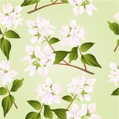 Beyaz çiçekler vektör ile sorunsuz doku dalları dekoratif funda