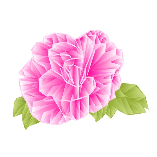 Camellia japonica polygones vecteur — Image vectorielle