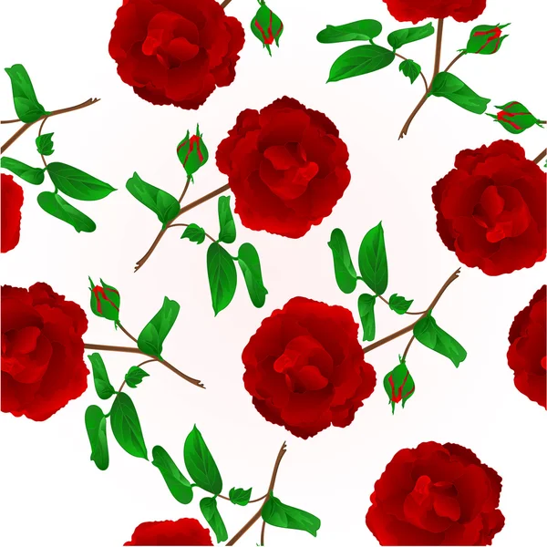Nahtlose Textur lila Rose Vektor — Stockvektor