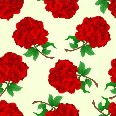 Vektör vintage sorunsuz doku kırmızı güller kök
