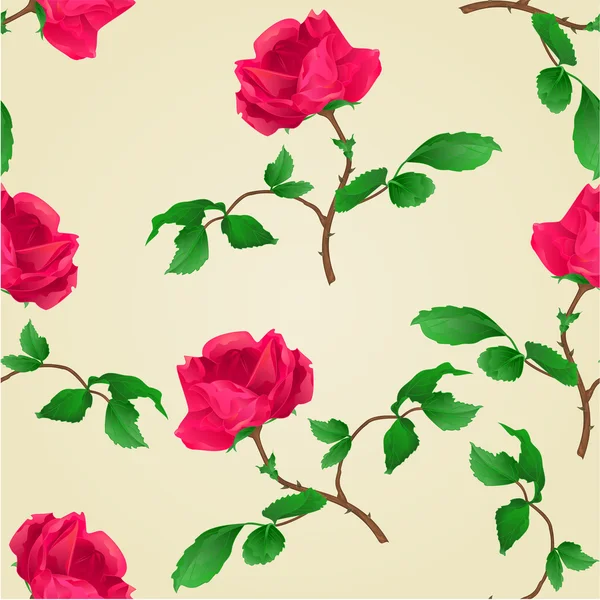 Textura inconsútil Rosa roja vector vintage — Archivo Imágenes Vectoriales