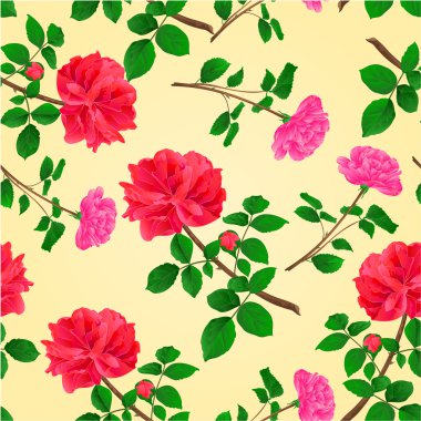 Sorunsuz doku dal kırmızı ve pembe güller vektör