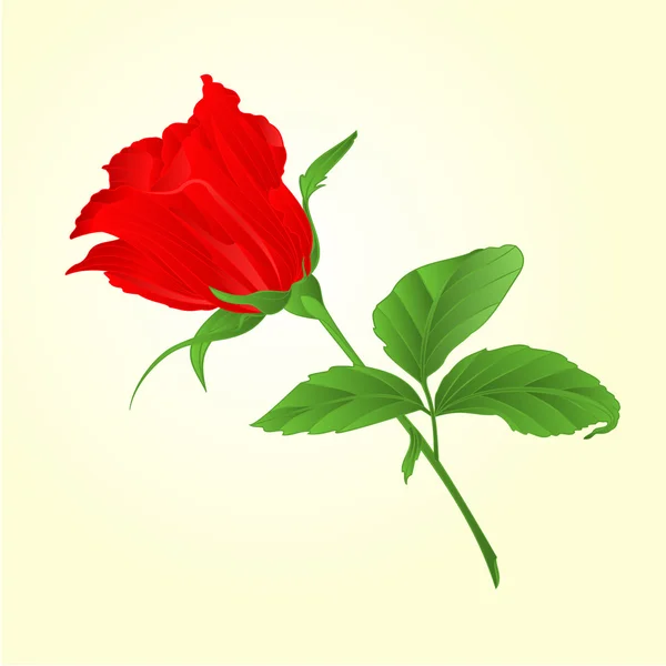 Rosebud rojo rosa vector vintage — Archivo Imágenes Vectoriales