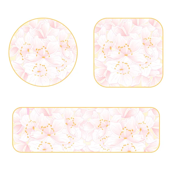 Sakura banners med en blommor vektor — Stock vektor