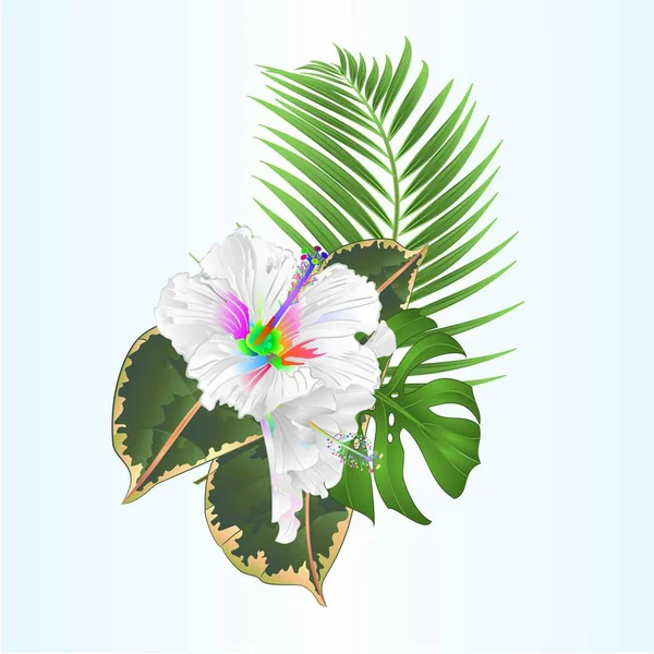 Tropikal Çiçeklerle Süslü Buket Çok Renkli Amberçiçeği Palmiye Çiçekleri Filodendron — Stok Vektör