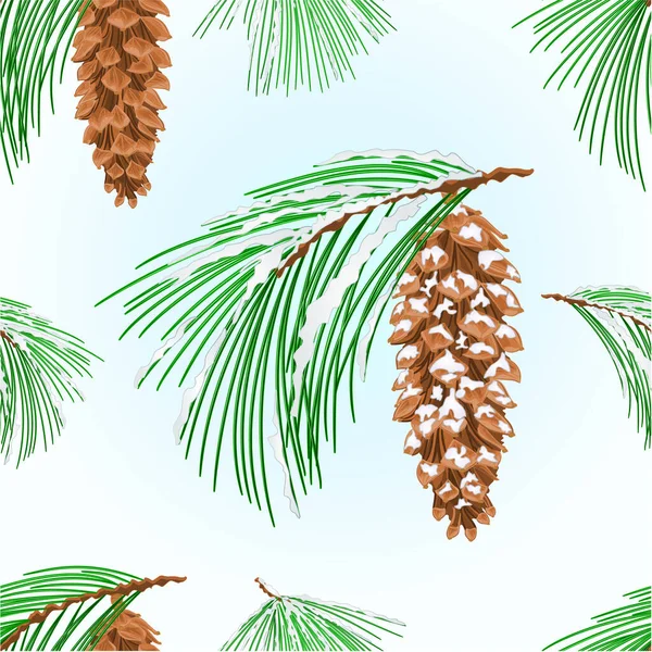 Ramas Textura Inconsútil Pino Blanco Oriental Conos Nieve Árbol Navidad — Vector de stock