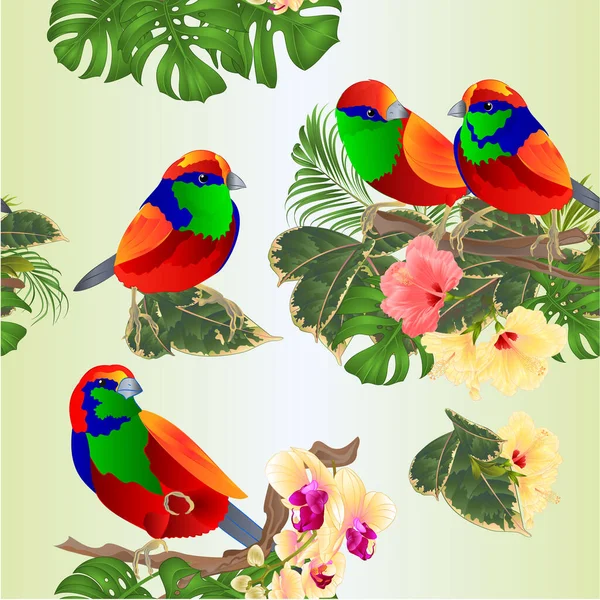 Texture Sans Couture Oiseaux Tropicaux Sur Bouquet Branches Avec Fleurs — Image vectorielle