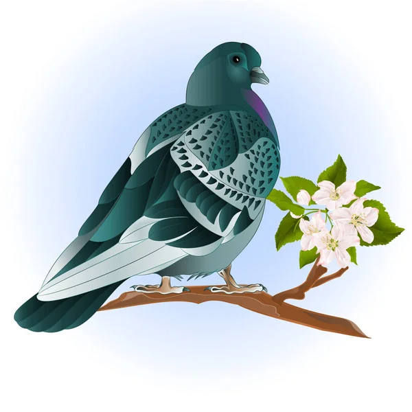 可愛い小さな鳥の装飾若い鳩の上にリンゴの木の小枝と花のヴィンテージベクトルイラストを編集可能手描き — ストックベクタ