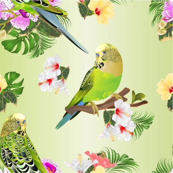 Бесшовная Текстура Зеленые Попугаи Budgerigar Домашних Животных Попугай Букет Тропическими — стоковый вектор