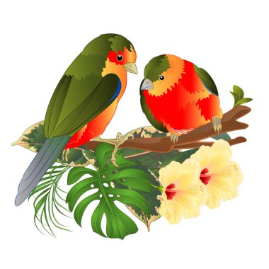 Tropikal kuşların buketi tropikal çiçek desenli beyaz arkaplan üzerinde bir filodendron beyaz arka plan vintage vektör illüstrasyonunda düzenlenebilir el çizimi