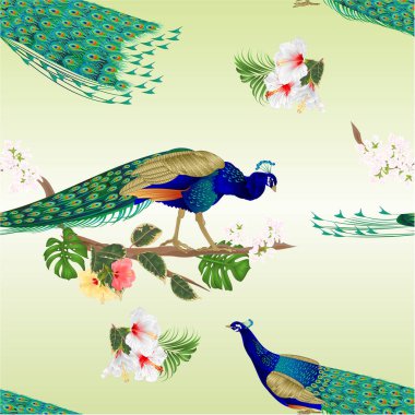 Kusursuz doku iki tavus kuşu dalında iki tropikal kuş ve çeşitli amberçiçeği ve filodendron suluboya vintage illüstrasyon düzenlenebilir el çizimi