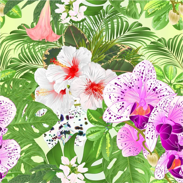 用Schefflera和Monstera可编辑手工绘图的无缝线质感热带花卉排列美丽的兰花紫 白芙蓉 — 图库矢量图片