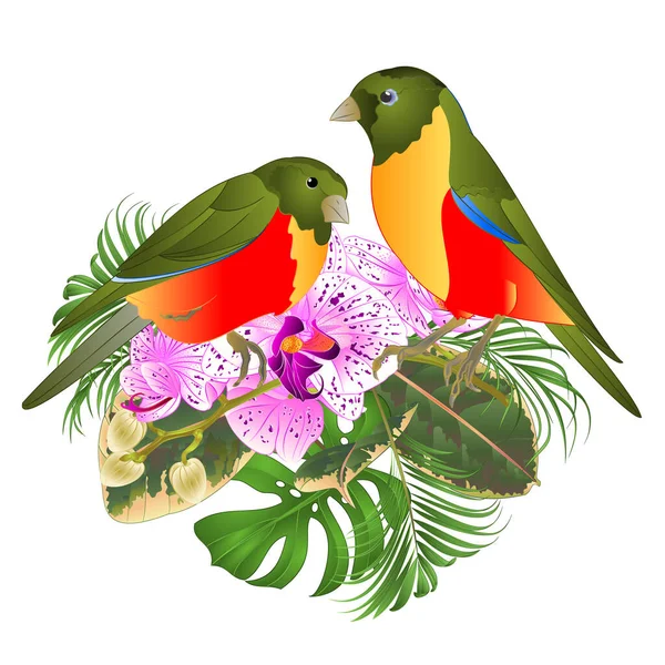 熱帯の花紫と小さな熱帯の鳥のヤシと白の蘭の花 Pholodendronヴィンテージベクトルイラスト編集可能な手描き — ストックベクタ