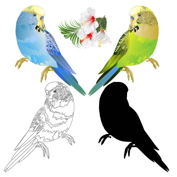 青と緑のパケットBudgerigar ホームペット またはブギーやシェルパケットアウトラインとシルエットの白いハイビスカスと手のひら ピロデンドロンフィクス水彩ヴィンテージベクトルイラスト編集可能な手描き ストックベクター