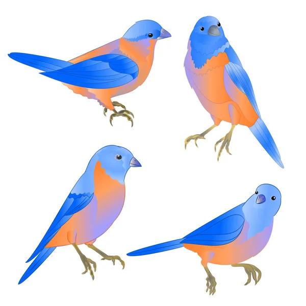 Bluebirds Pequeñas Aves Tordo Sobre Fondo Blanco Acuarela Vintage Conjunto — Vector de stock