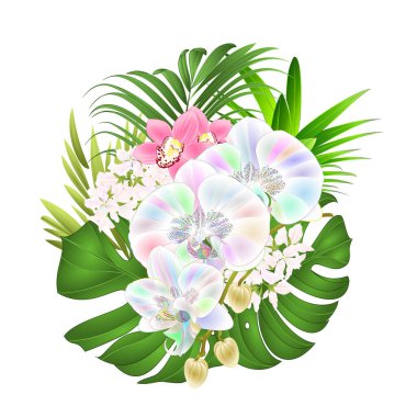 Tropikal çiçekler... çok renkli orkide... ve simibidyum... ananas yaprakları, palmiye, filodendron ile çeşitli buketler... beyaz arka plan, klasik vektör çizimi... düzenlenebilir el çizimi.