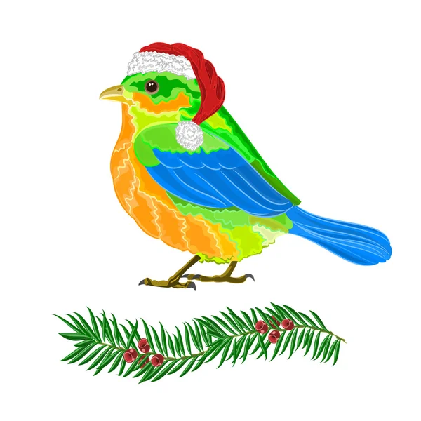 Vector de aves de Navidad — Vector de stock