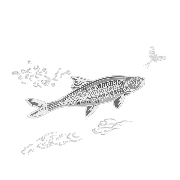 Fish and ephemera as vintage engraved vector — Stock Vector