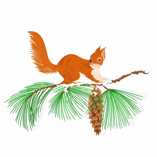 Écureuil sur une branche de neige Motif de Noël vecteur — Image vectorielle
