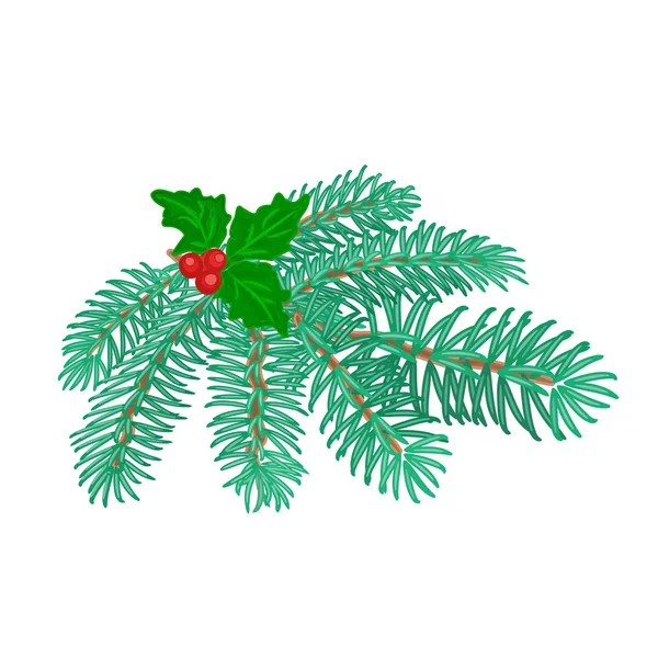 Kerstmis decoratie tak van Spar en holly vector — Stockvector