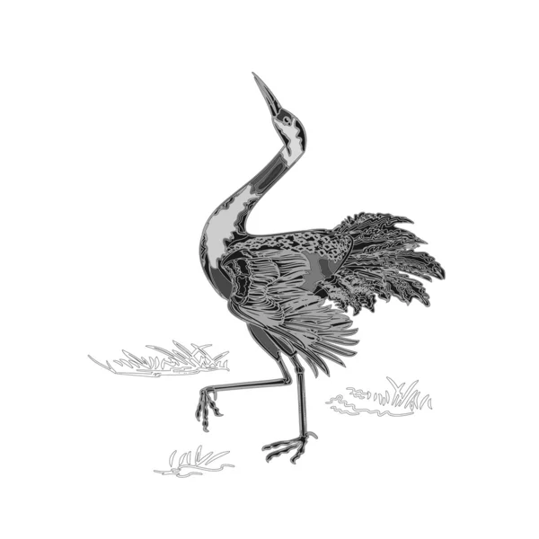 Dancing crane engraving vector — Stock Vector