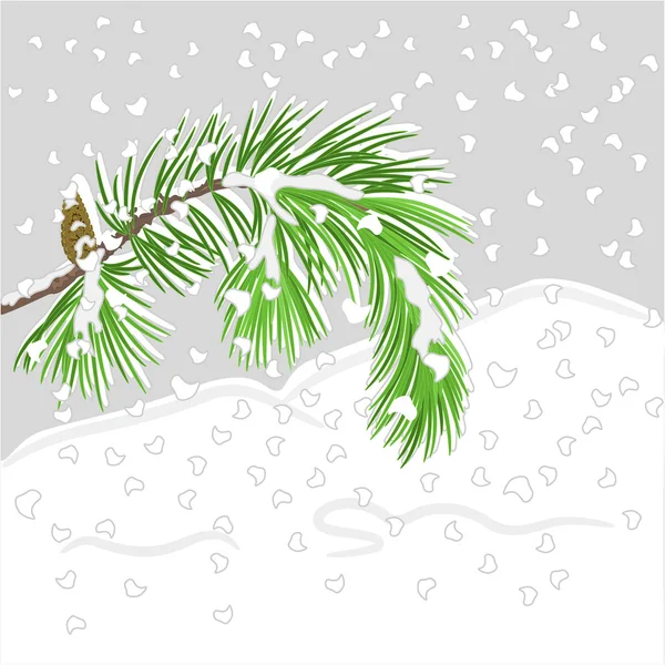 Rama de pino con nieve navidad tema vector — Vector de stock