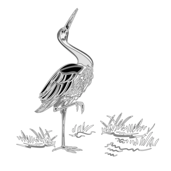 Vecteur de gravure vintage Stork — Image vectorielle