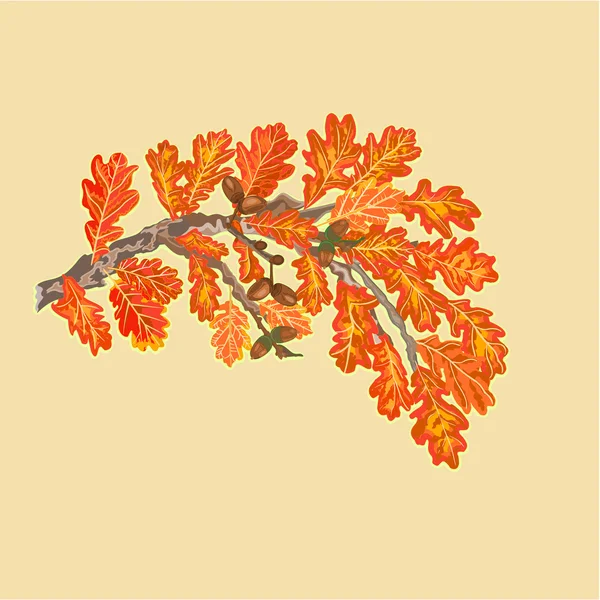 Zweig der Eiche Herbst Thema Vektor — Stockvektor