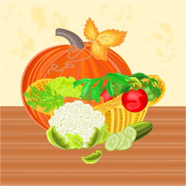 Sepet sebze ve kabak sağlıklı beslenme vektör