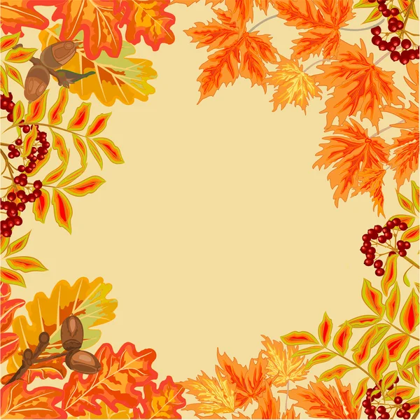 Frame van de herfst bladeren vector — Stockvector