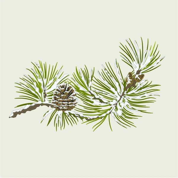 Kar, çam koni Noel Tema vektör ile çam dalı