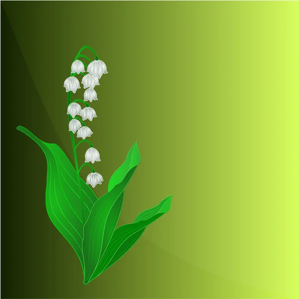 Lily vadi arka plan yer metin vektör için