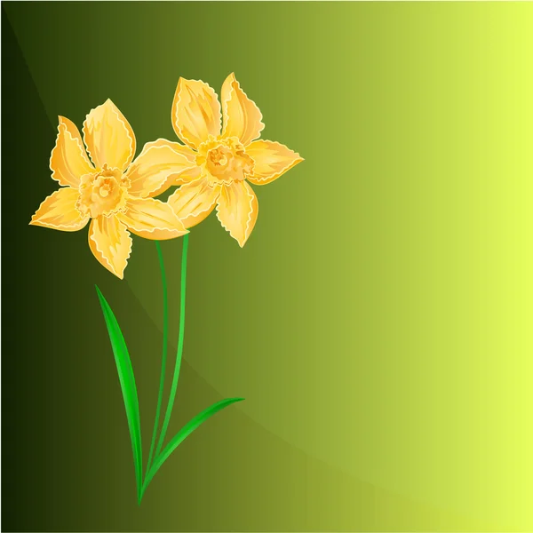 Daffodil Primavera lugar de fondo para vector de texto — Archivo Imágenes Vectoriales