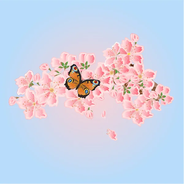 Mariposa y flores de cerezo vector de primavera — Vector de stock