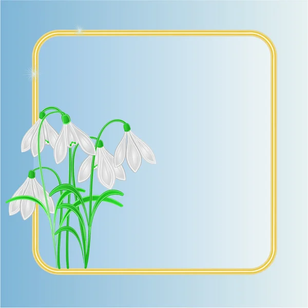 Snowdrops spring flower frame place for text vector — Stock Vector