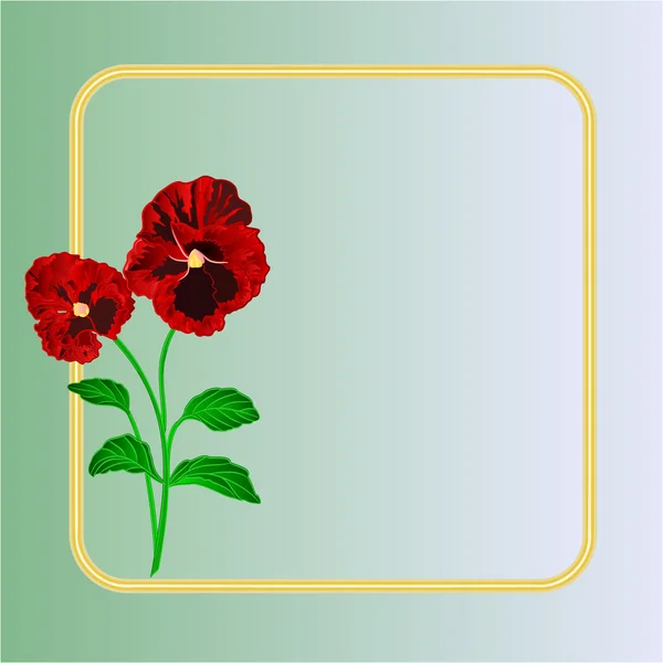 Pansies spring flowers vector — Stock Vector