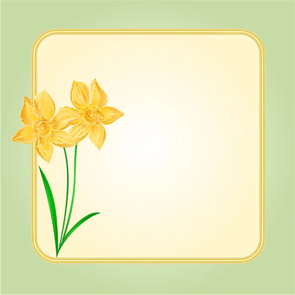 Flor de primavera Daffodil fundo vetor — Vetor de Stock