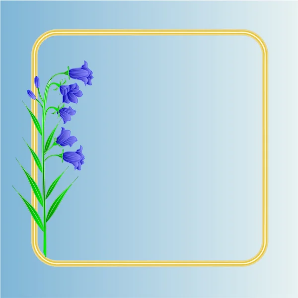 Flor de primavera Bluebell campanula fundo vetor — Vetor de Stock