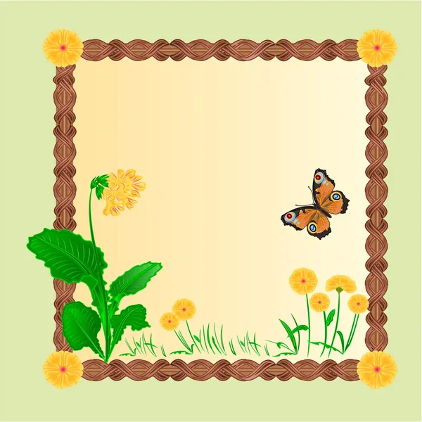Moldura primavera flor prímula com vetor de borboleta — Vetor de Stock