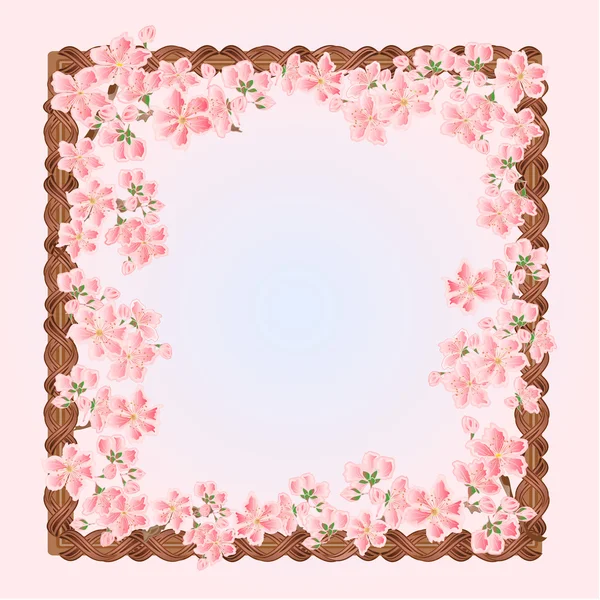 Sakura flores primavera marco vector — Vector de stock