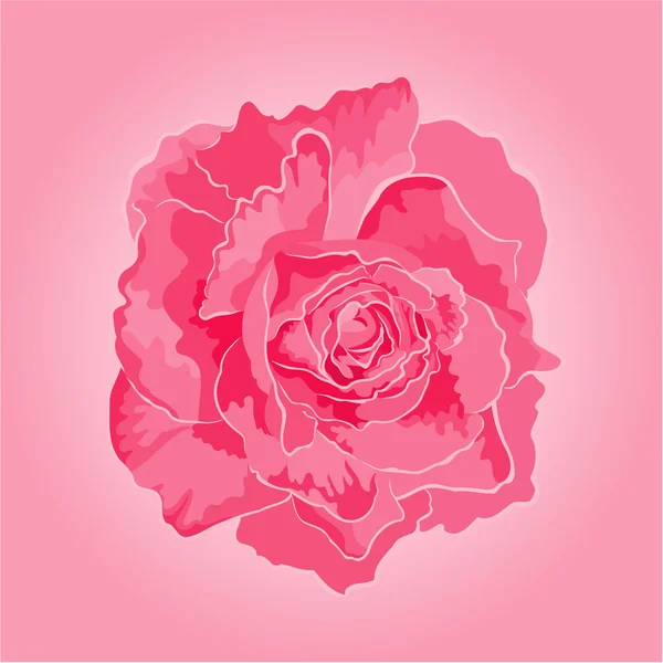 Ροζ τριαντάφυλλο ξεχωριστό διάνυσμα — Διανυσματικό Αρχείο