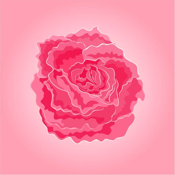 Roses pink simple vector — Stock Vector