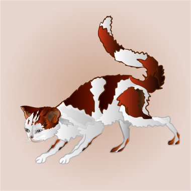 Hunt vektör doğum Kitty