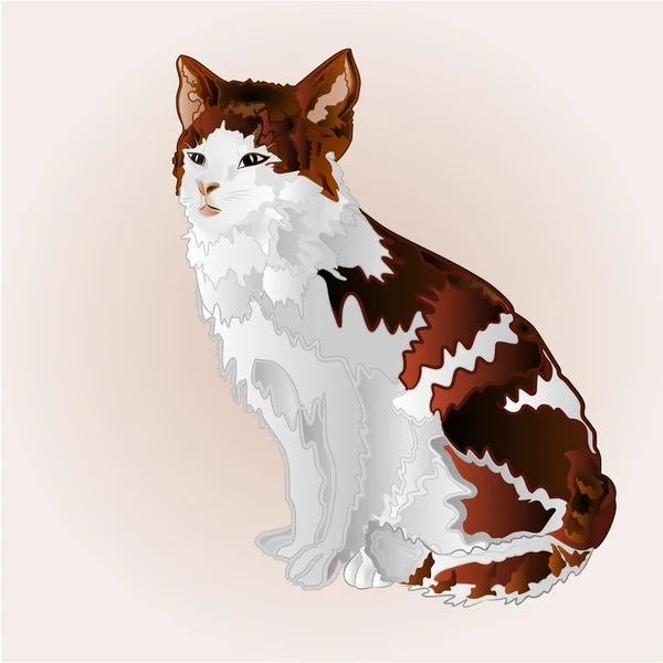 Kitty trois vecteur de couleur — Image vectorielle