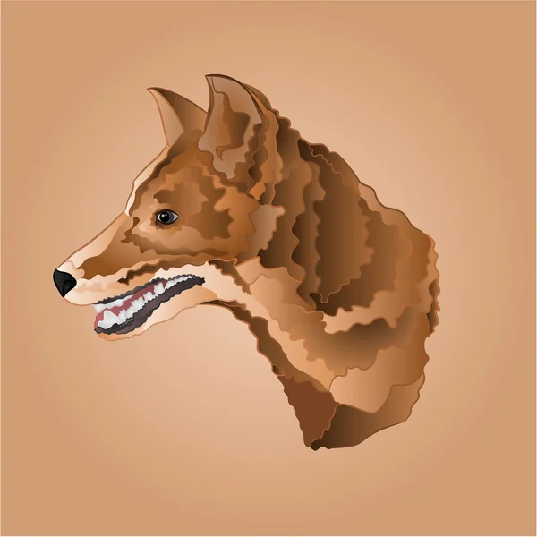 Cabeza de perro marrón vector — Vector de stock